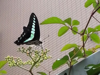 20130625_083951.jpg