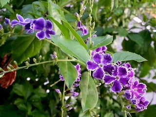 20130911_174155.jpg